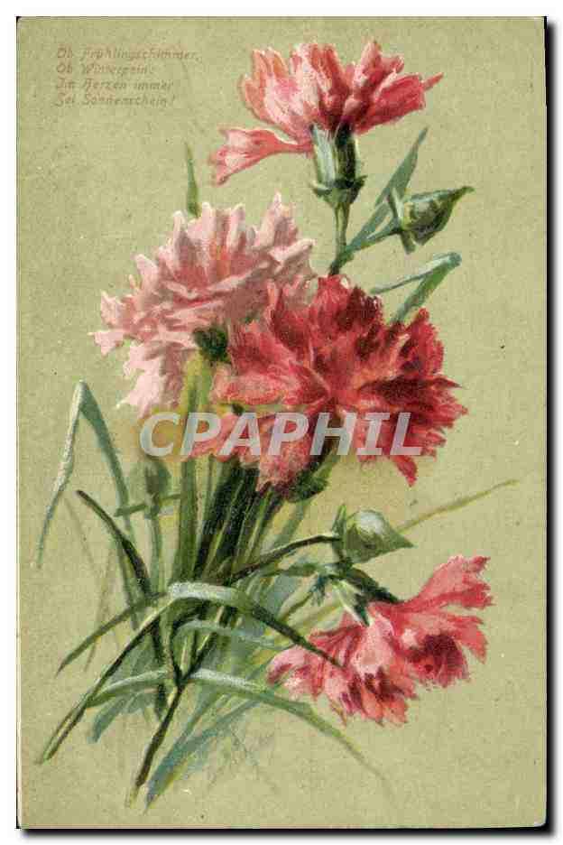 CPA Fantaisie Fleurs 