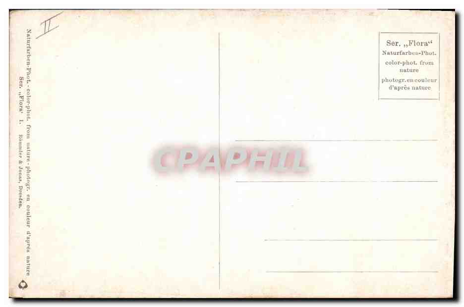CPA Fantaisie Fleurs  — Rückseite