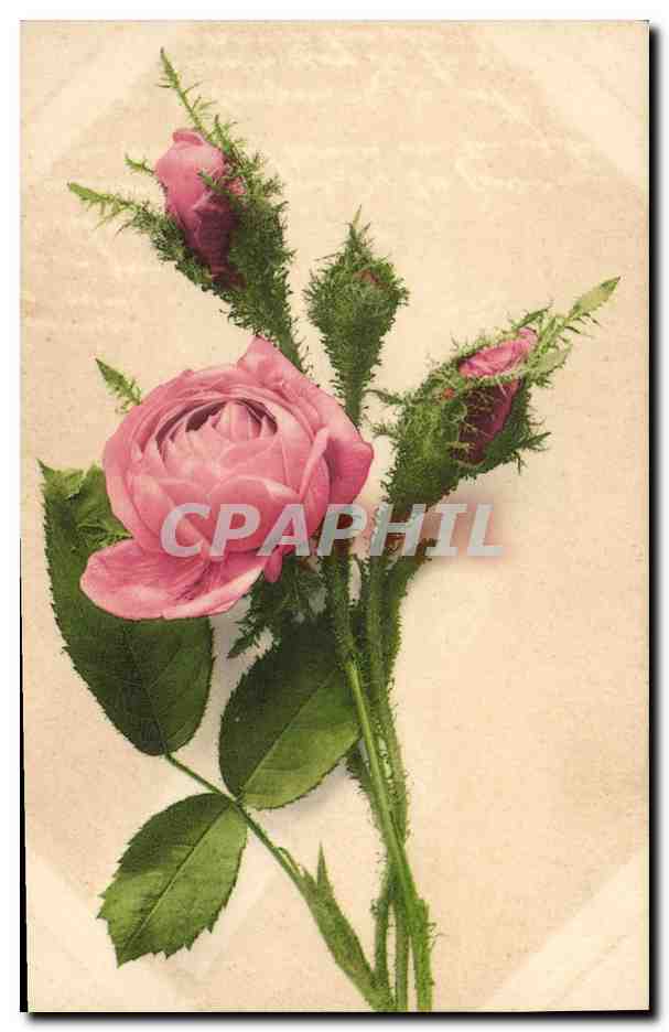 CPA Fantaisie Fleurs 