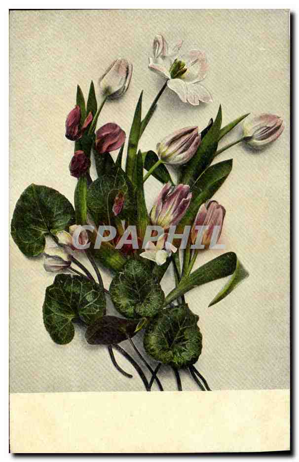 CPA Fantaisie Fleurs 