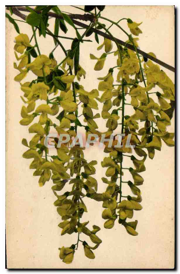 CPA Fantaisie Fleurs 