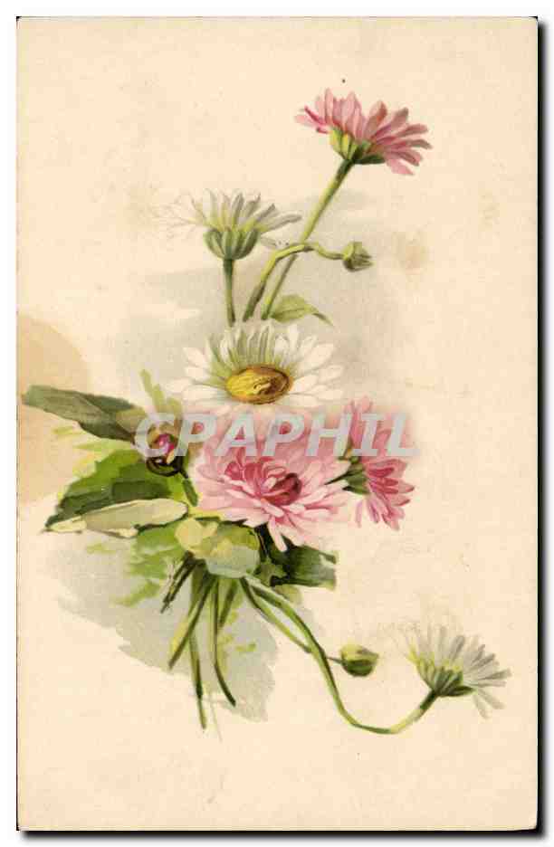 CPA Fantaisie Fleurs 