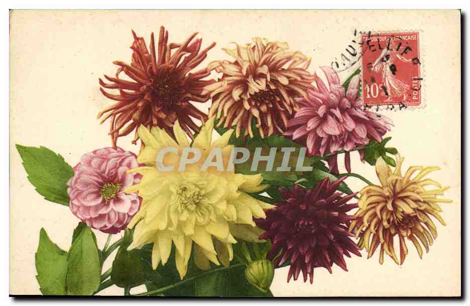 CPA Fantaisie Fleurs 