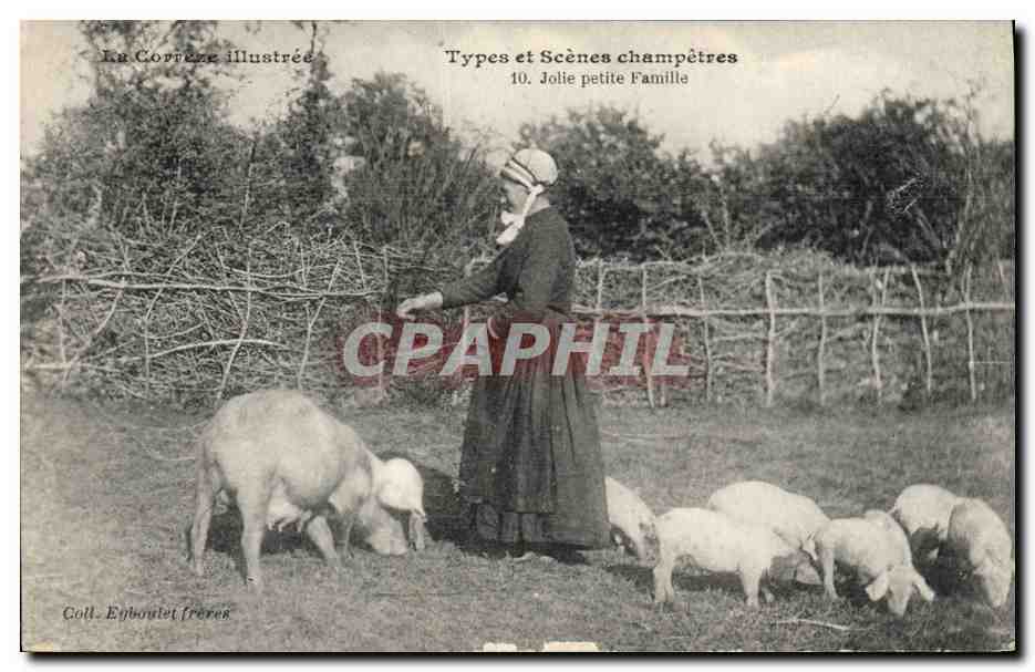 CPA Folklore Jolie petite famille Cochon Porc