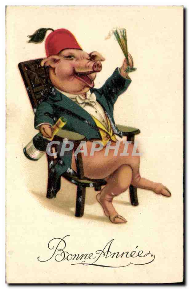 CPA Cochon Porc Champagne