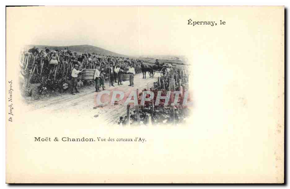 CPA Epernay Champagne Moet & Chandon Vue des coteaux d'Ay