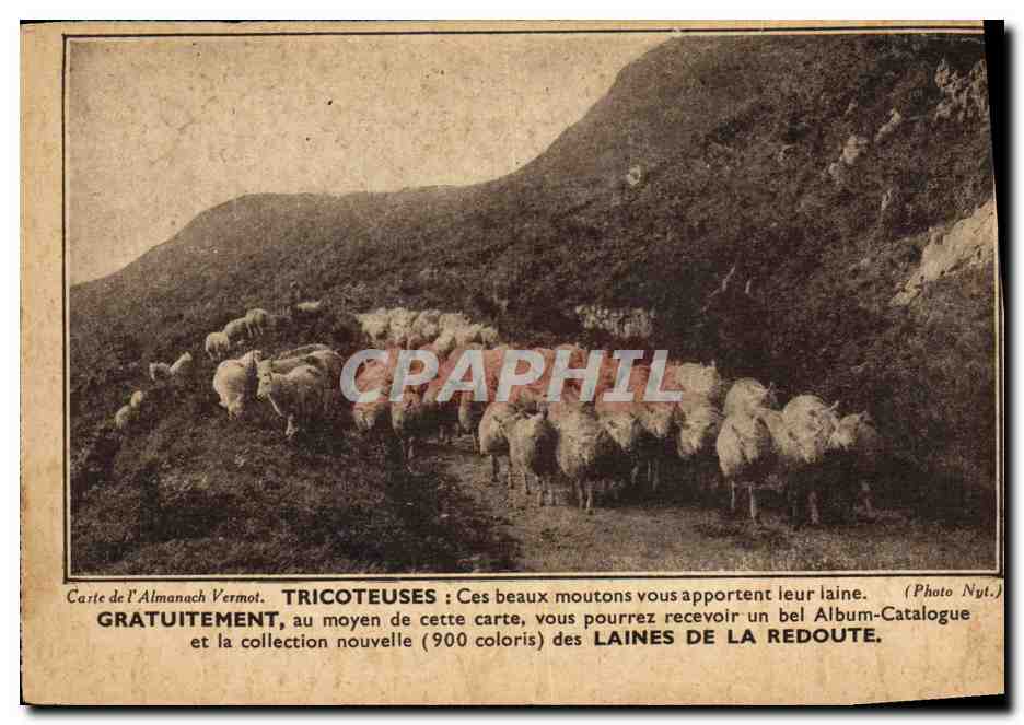 CPA Publicite Tricoteuses Laines de la Redoute Moutons