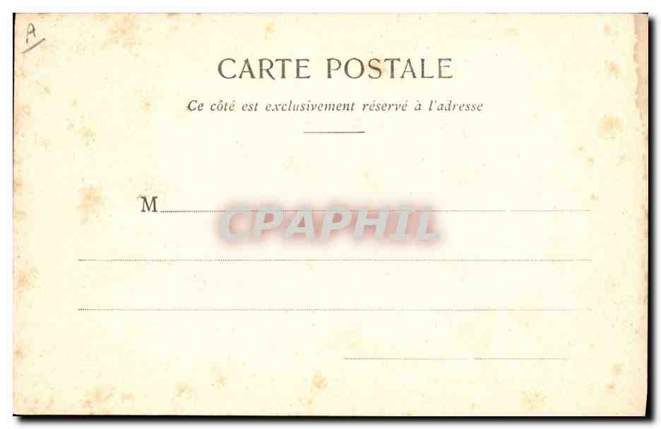 Algas marinas — Ceramium Arachnoideum — Collector de Fonthressin, Cannes — Reverso