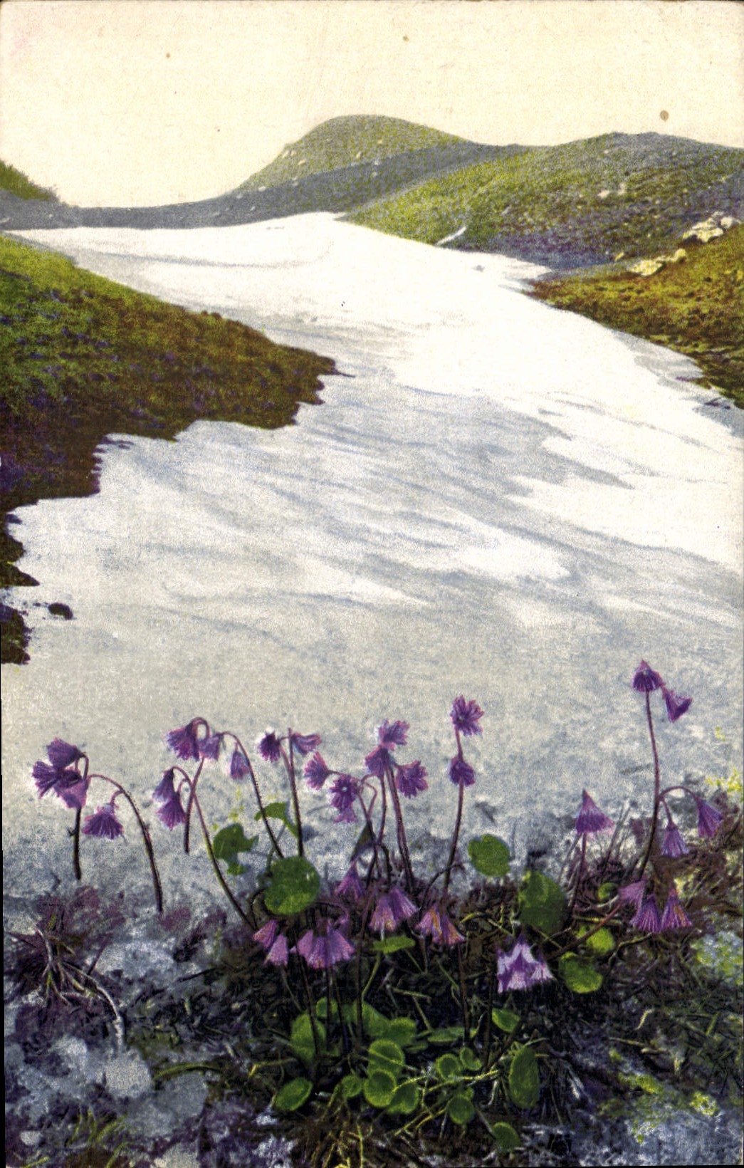 CPA Fantaisie Fleurs 
