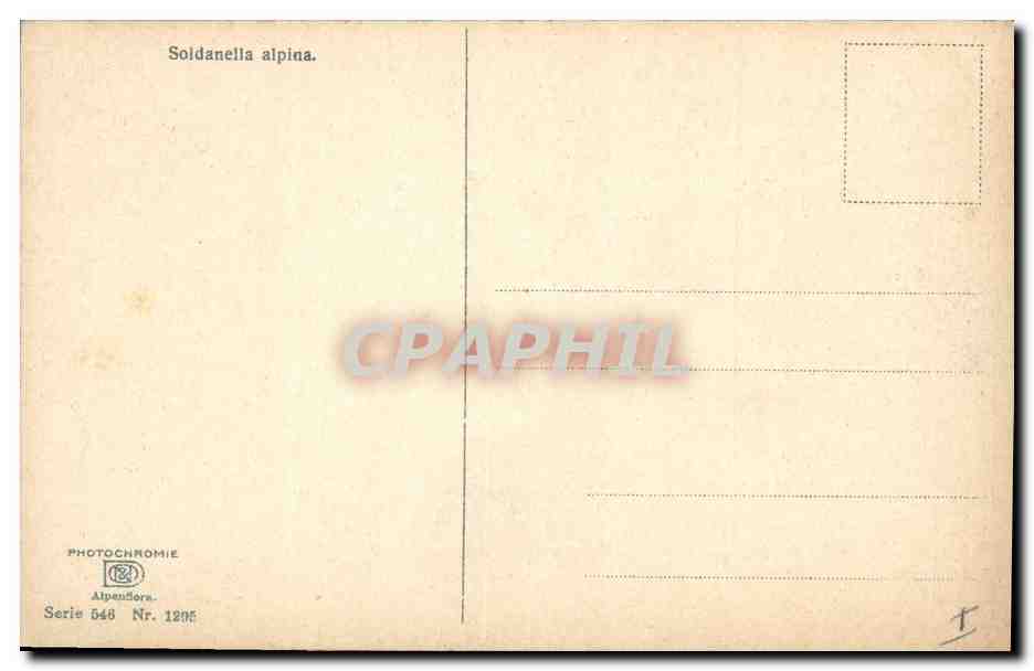 CPA Fantaisie Fleurs  — Verso