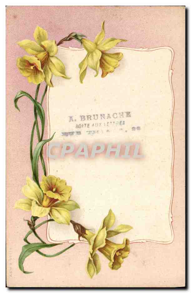 CPA Fantaisie Fleurs 