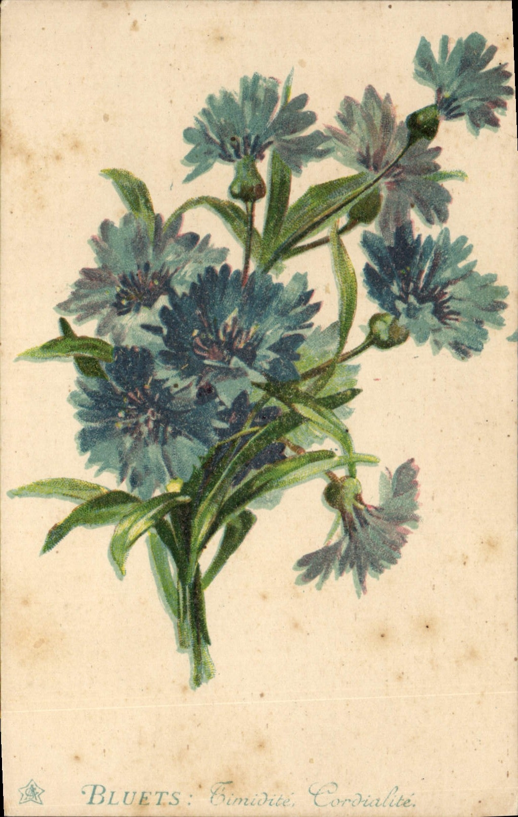 CPA Fantaisie Fleurs 