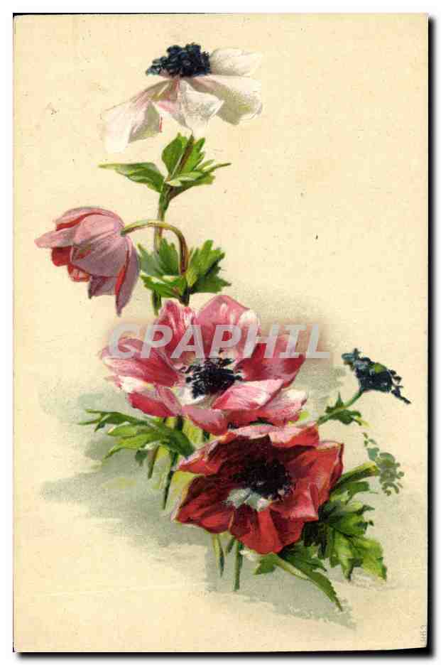 CPA Fantaisie Fleurs 