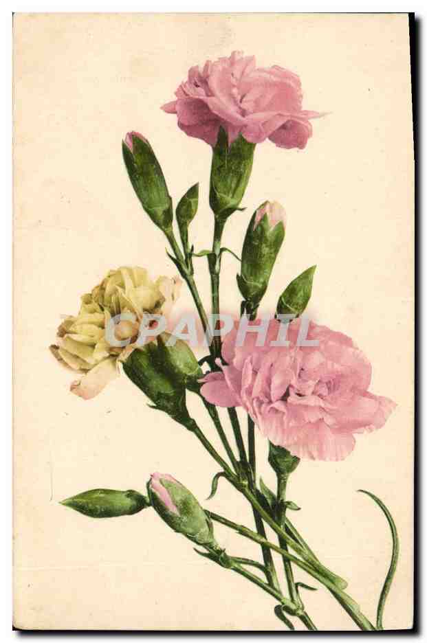 CPA Fantaisie Fleurs 