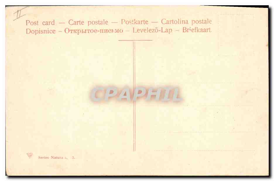 CPA Fantaisie Fleurs  — Back