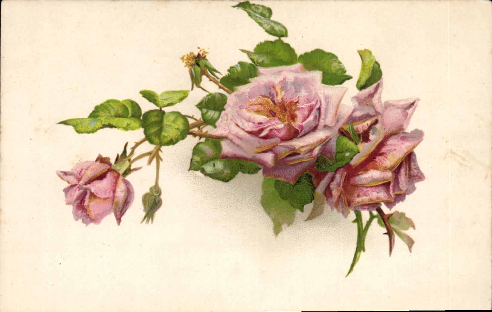 CPA Fantaisie Fleurs 