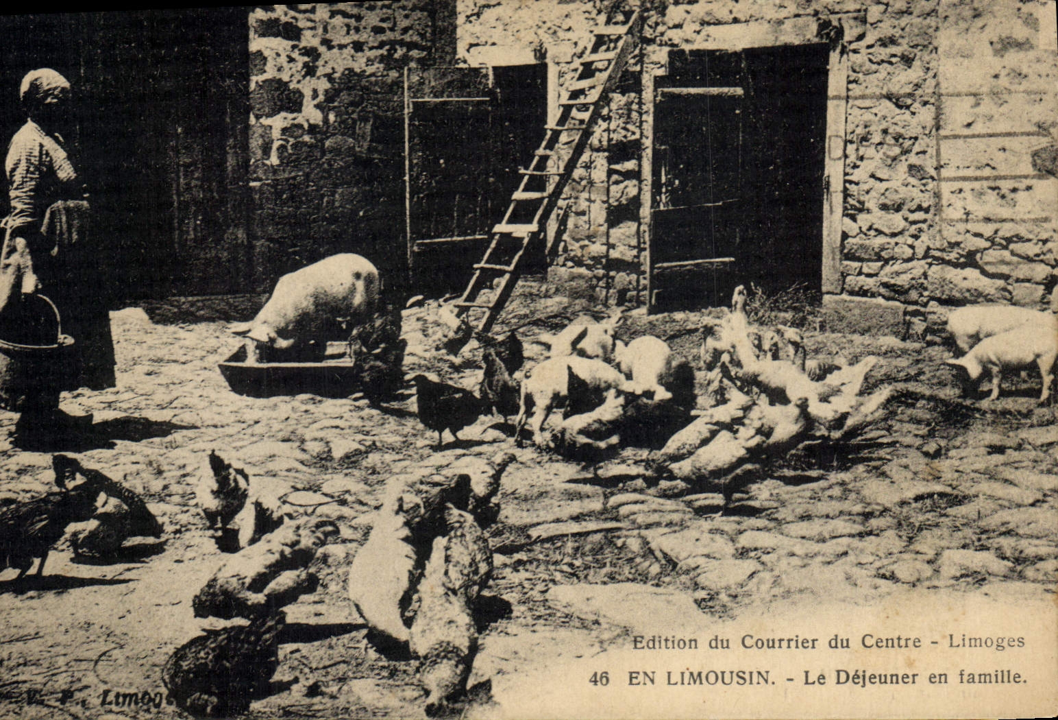 CPA Folklore En Limousin Le dejeuner en famille Poules Cochon Porc