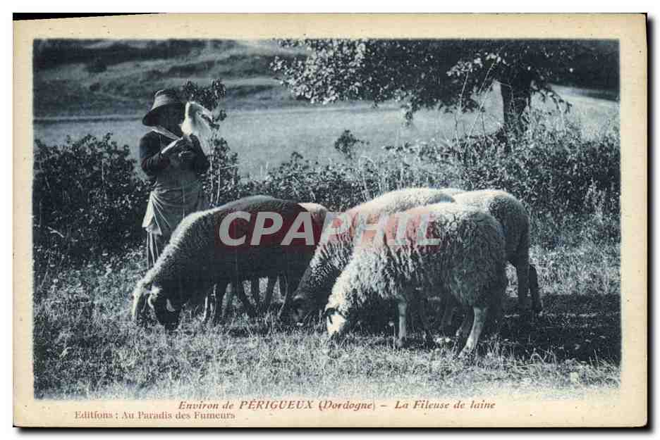 CPA Folklore Environs de Perigueux Dordogne La fileuse de Laine Moutons 