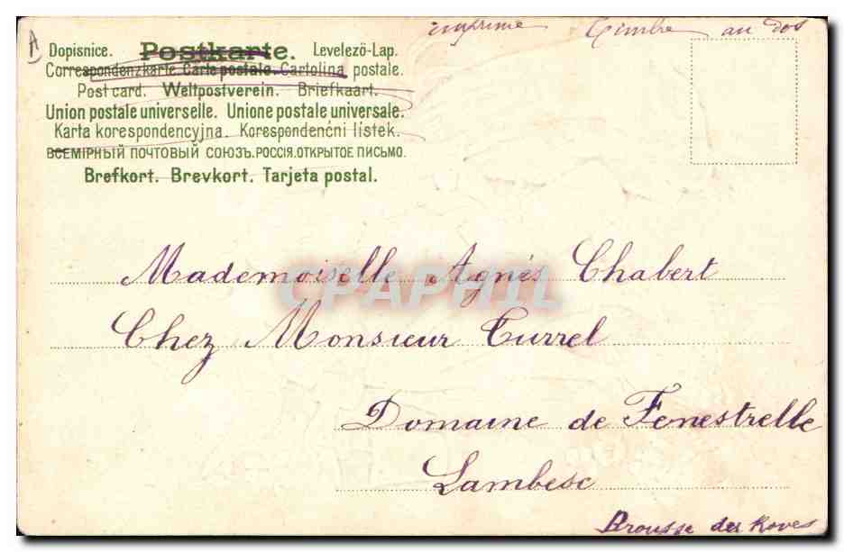 Due bambini che innaffiano delle piante — Ricordo di amicizia. Léon. Serie 31. — Verso