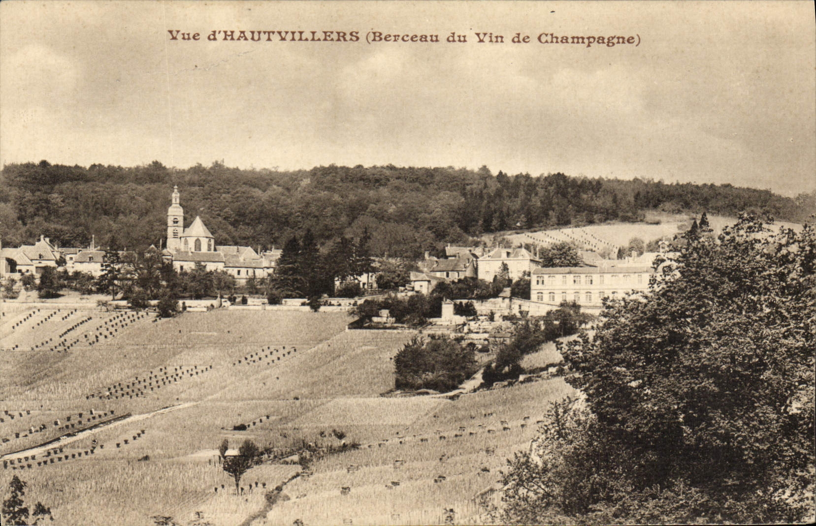 CPA Folklore Vin Vendange Champagne Vue d'Hautvillers Berceau du vin de Champagne