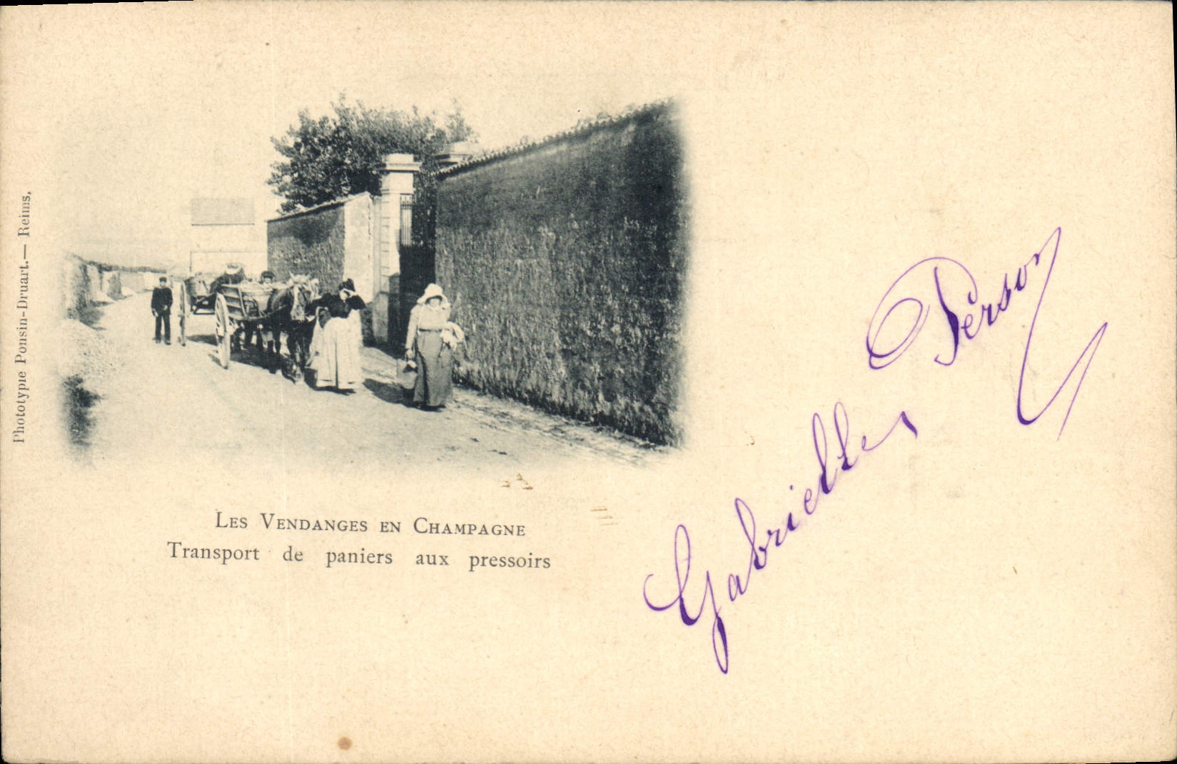 CPA Folklore Vin Vendange Champagne Transport de paniers aux pressoirs 