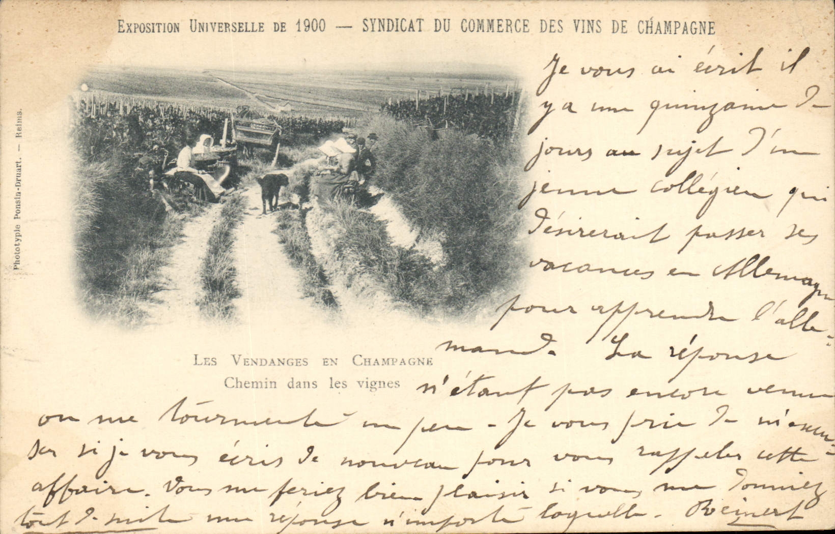 CPA Folklore Vin Vendange Champagne Exposition universelle de 1900 Syndicat du Commerce des Vins de Champagne Chemin dans les vignes