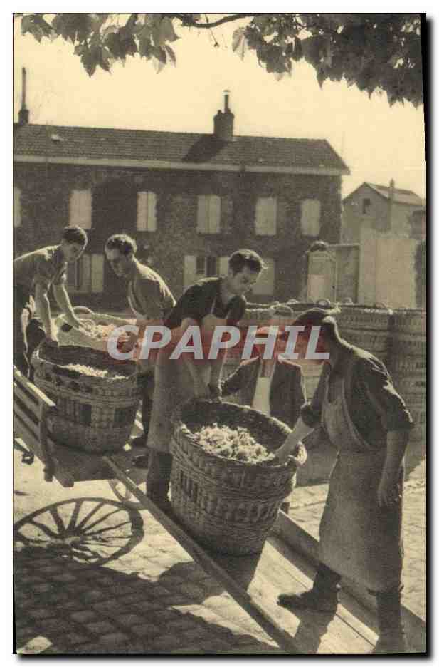 CPA Folklore Vin Vendange Champagne Perrier Jouet Epernay Arrivee des paniers au vendangeoir