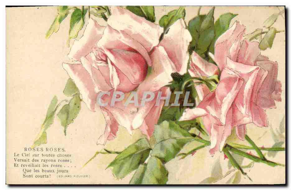 CPA Fantaisie Fleurs Roses roses