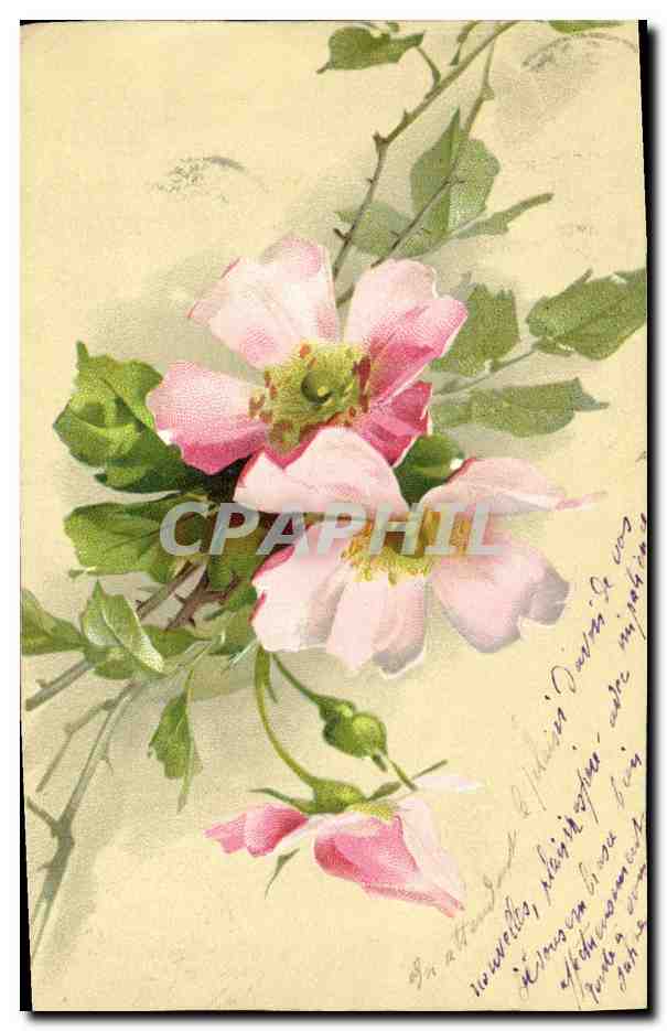 CPA Fantaisie Fleurs 
