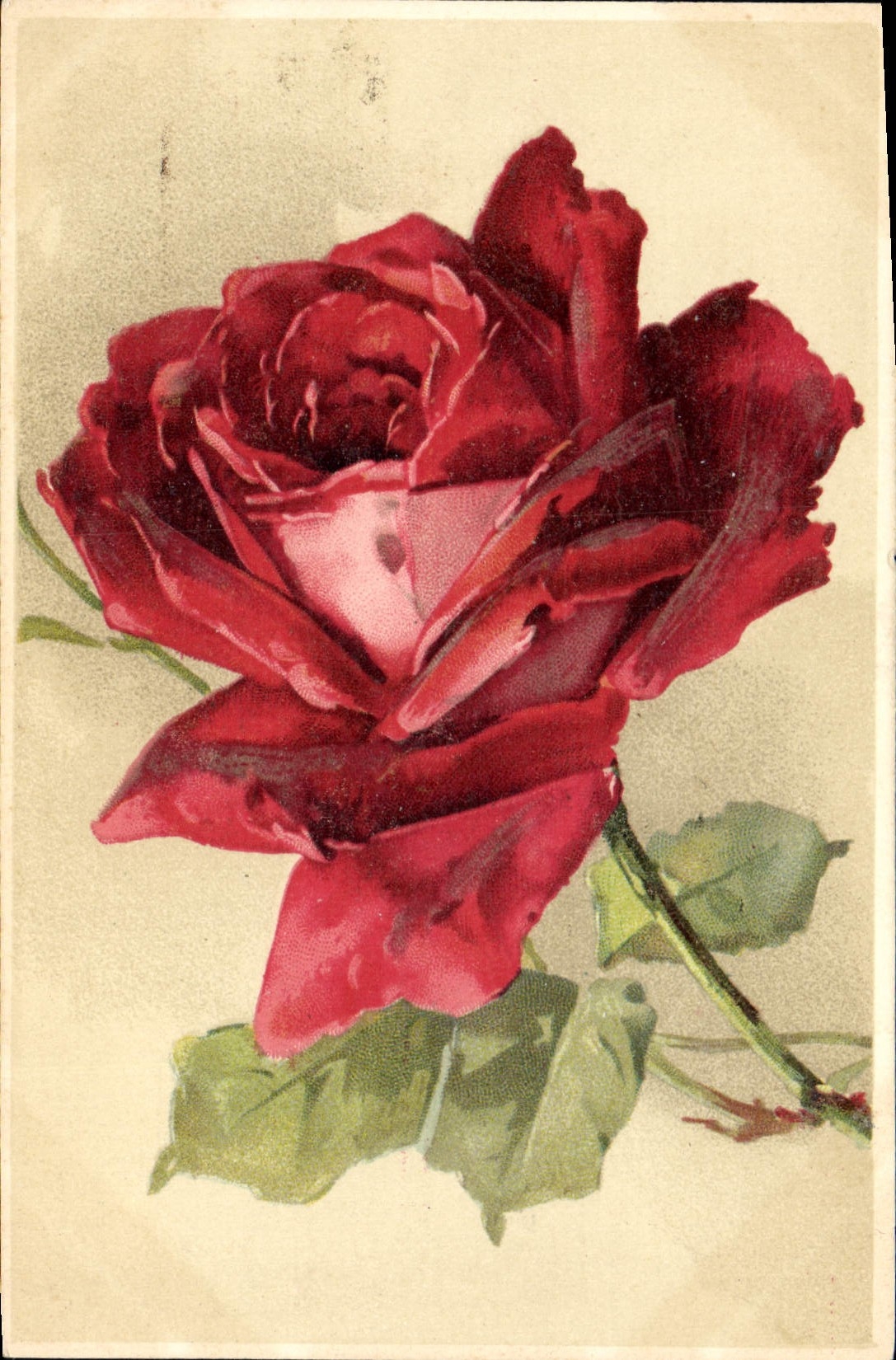 CPA Fantaisie Fleurs 