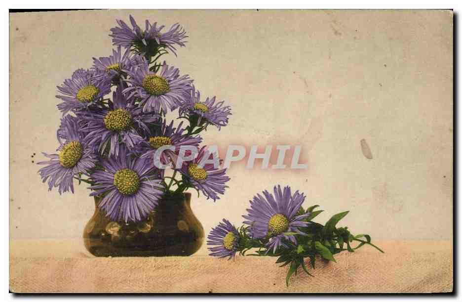 CPA Fantaisie Fleurs 