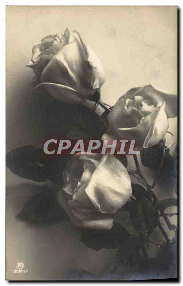 CPA Fantaisie Fleurs 