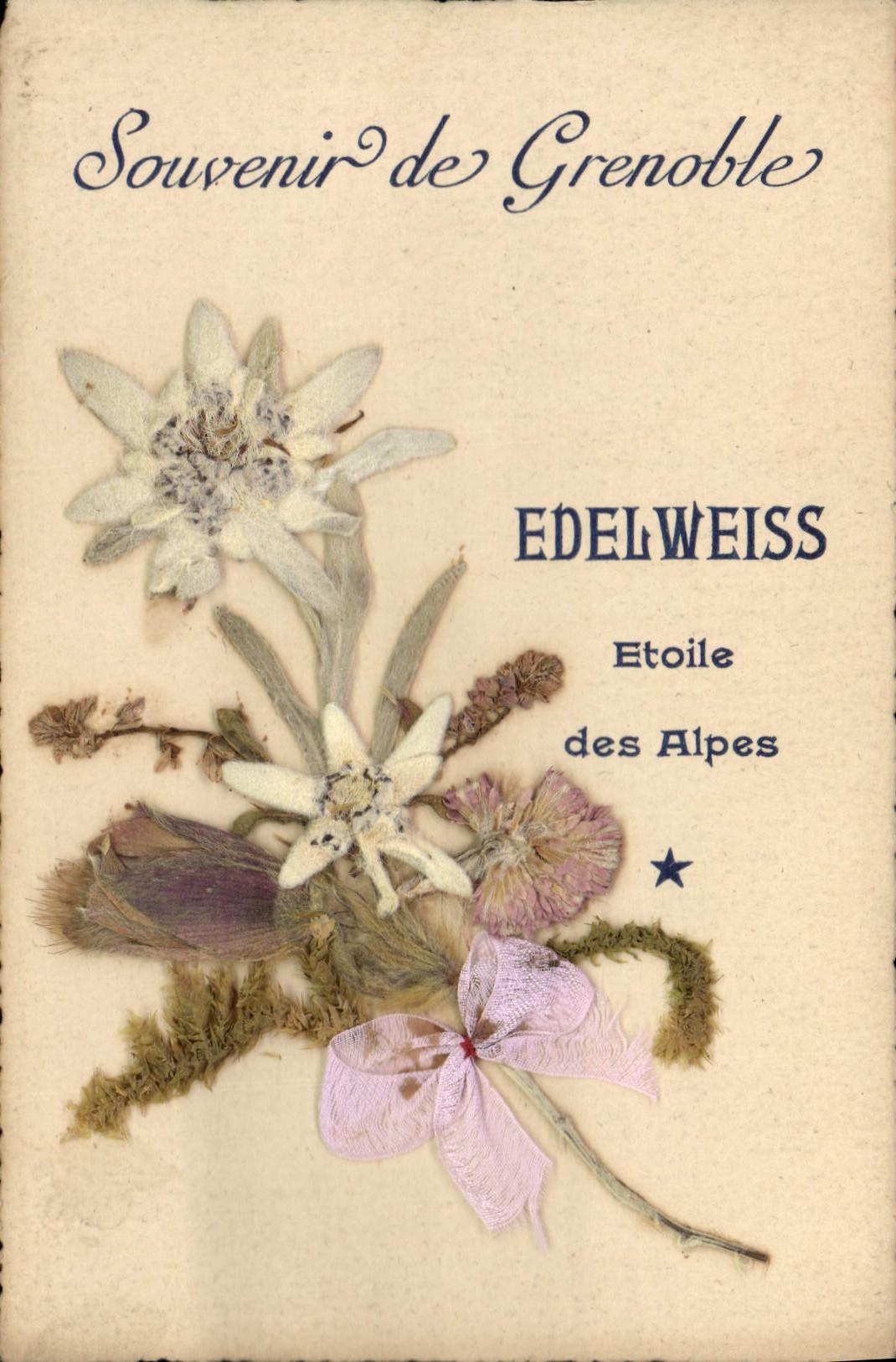 Souvenir de Grenoble — Edelweiss, Etoile des Alpes — éditeur non visible