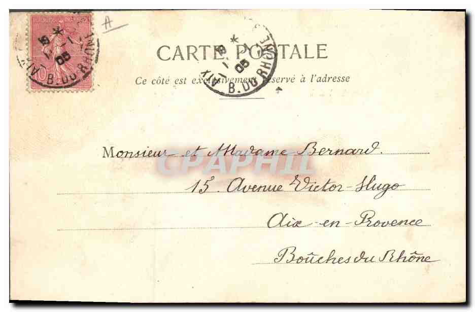 Algues marines — W. J. — Collecteur de Forthiessin, Cannes — Rapport réservés — Reverso