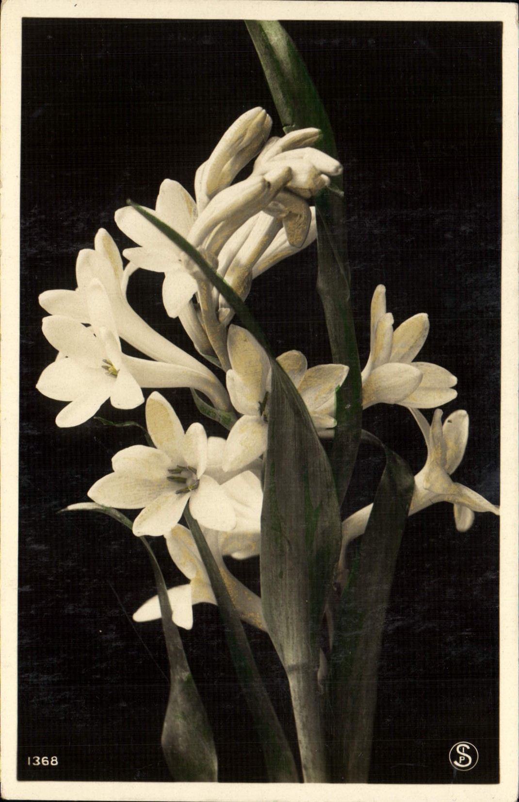 CPA Fantaisie Fleurs 