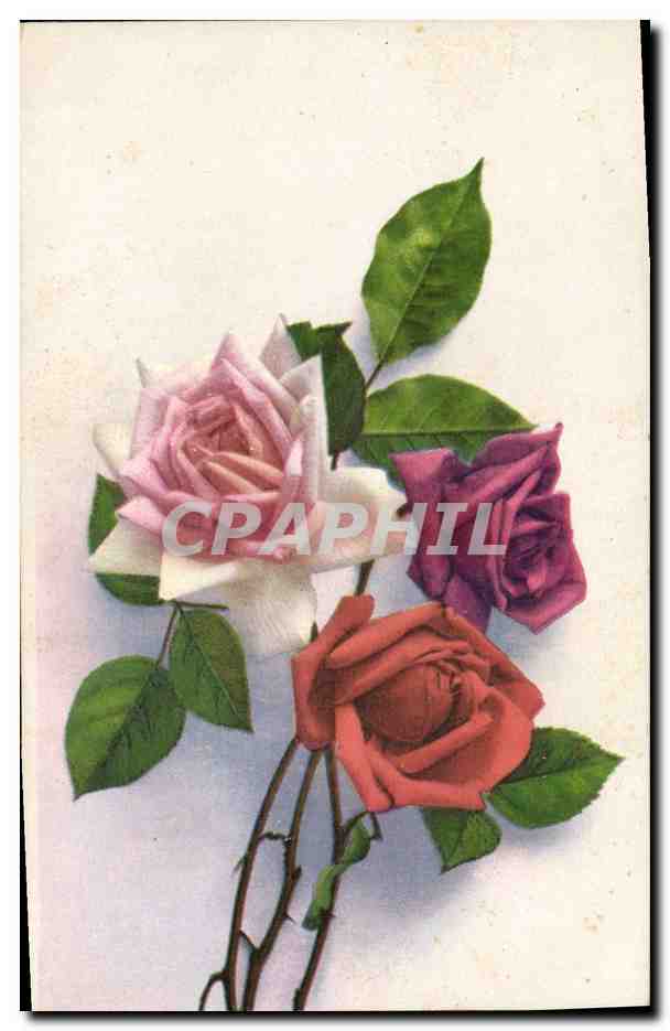 CPA Fantaisie Fleurs 