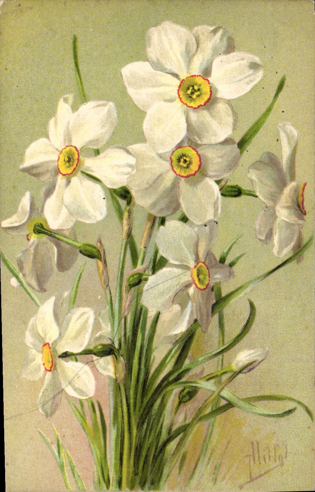 CPA Fantaisie Fleurs 