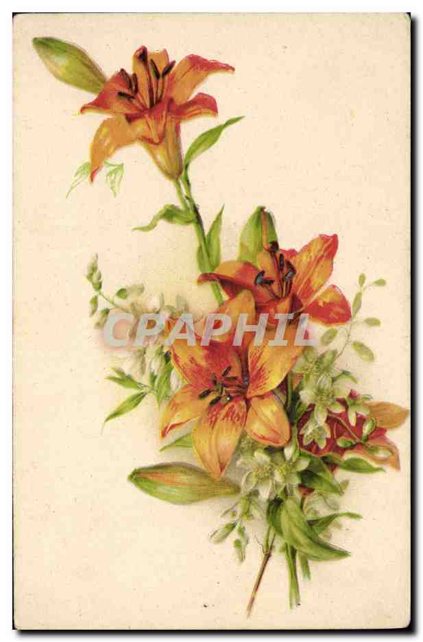 CPA Fantaisie Fleurs 