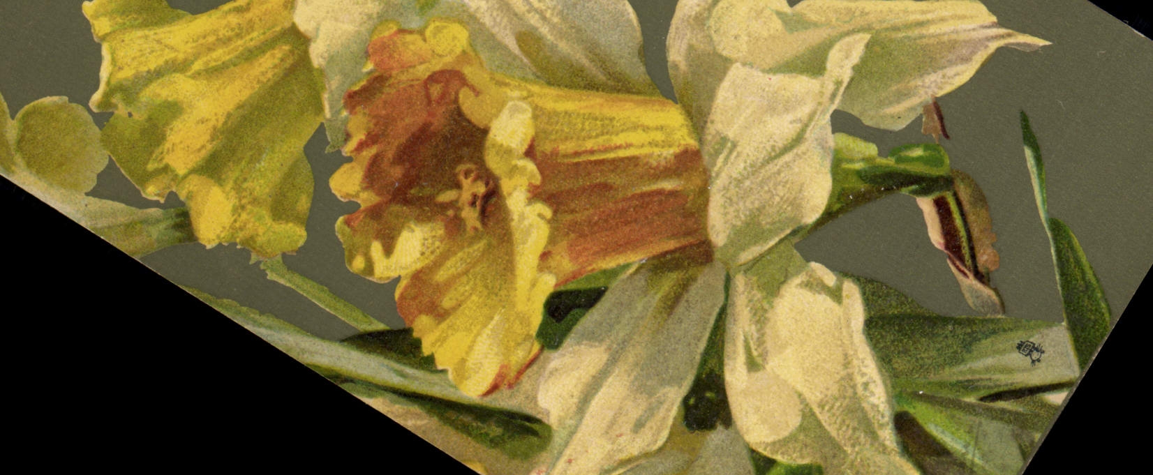 CPA Fantaisie Fleurs 