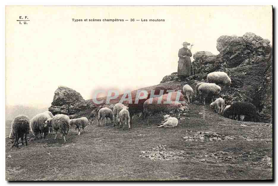 CPA Folklore Les moutons Bergere