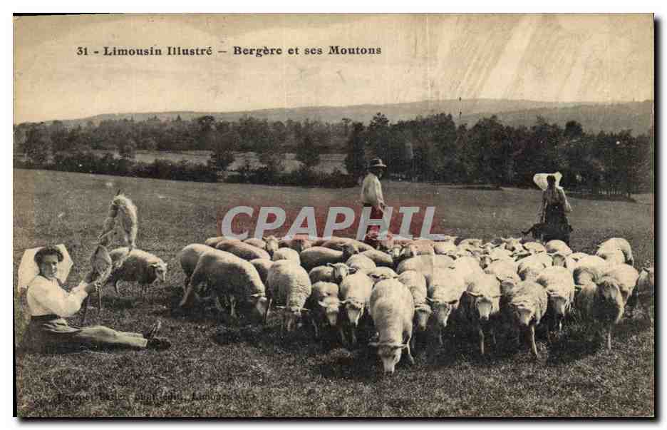 CPA Folklore Limousin Bergere et ses moutons