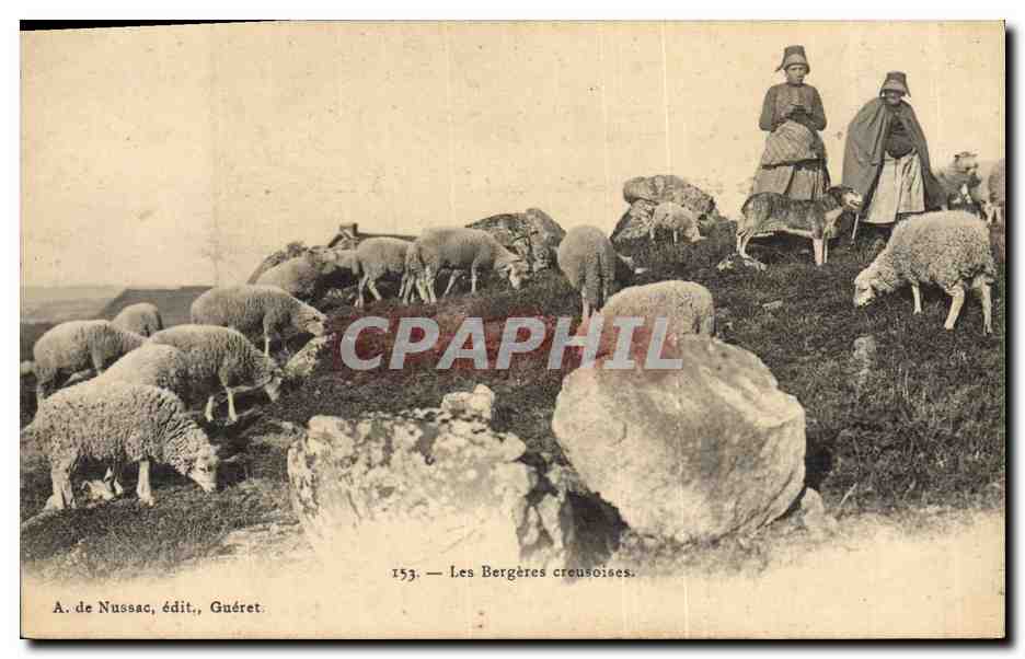 CPA Folklore Les bergeres creusoises Moutons
