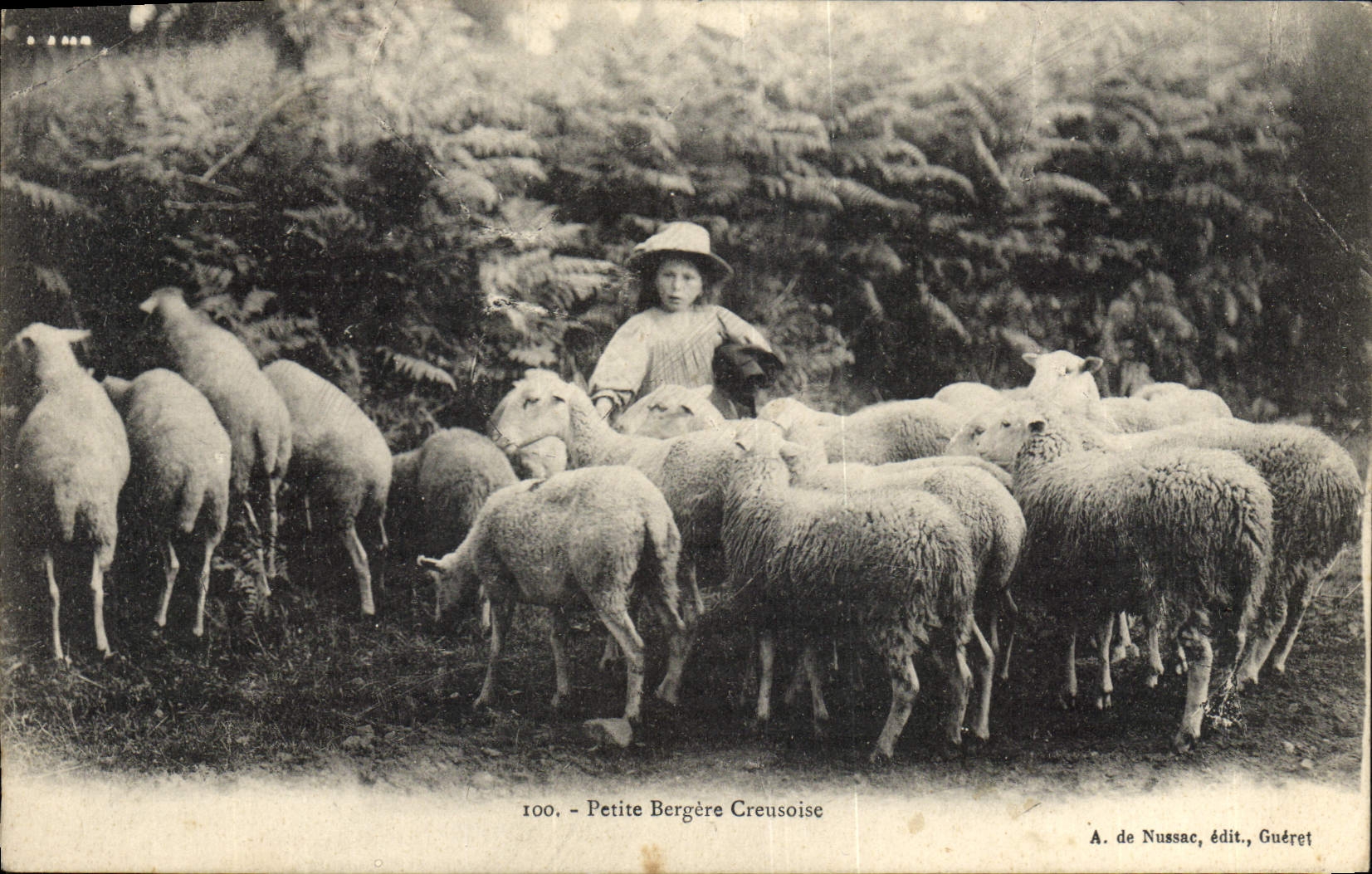 CPA Folklore Petite Bergere Creusoise Moutons