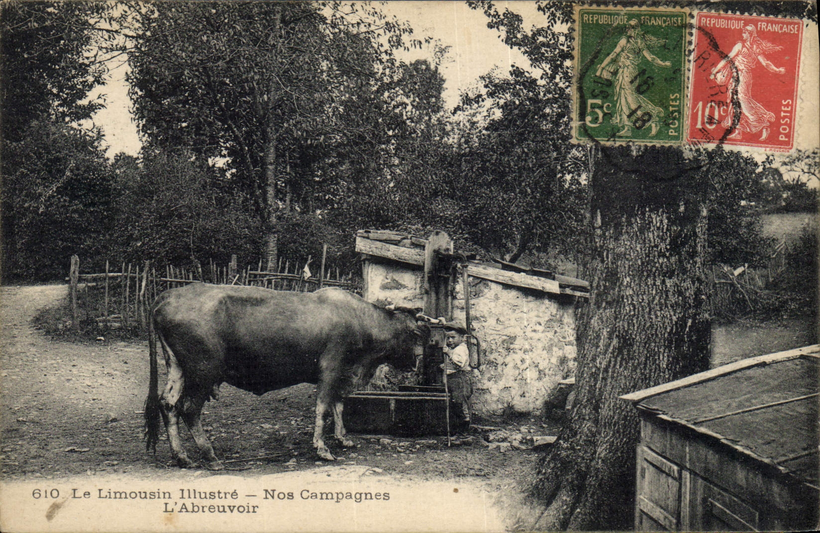 CPA Folklore Limousin Nos campagnes L'abreuvoir Enfant Vache