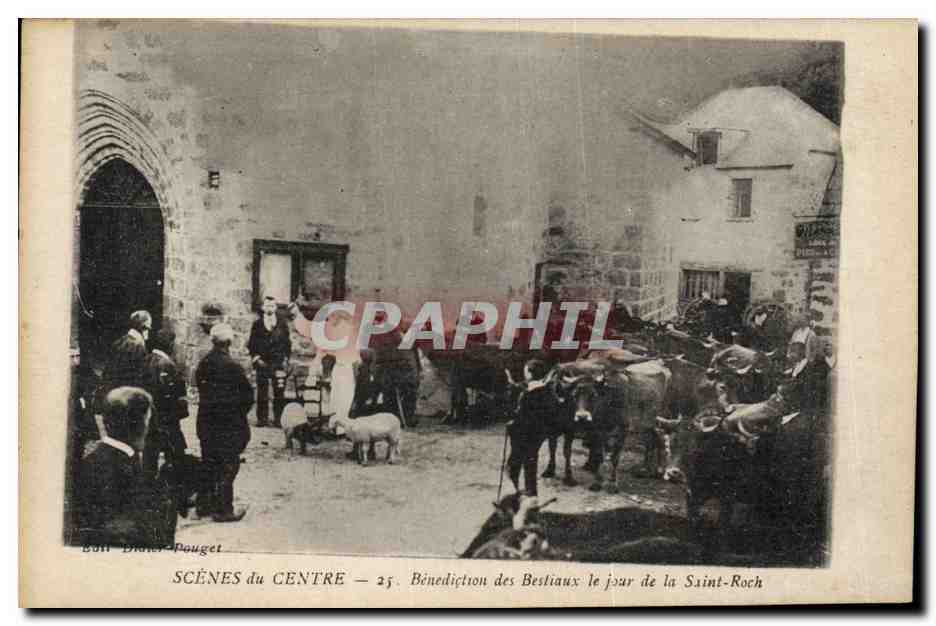 CPA Folklore Scenes du Centre Benediction des Bestiaux le jour de la Saint Roch Cochon Porc Vaches Marche TOP 