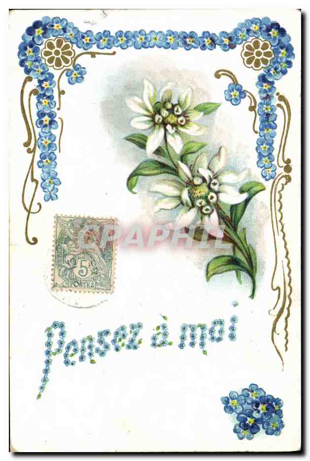 CPA Fantaisie Fleurs Pensez a moi 
