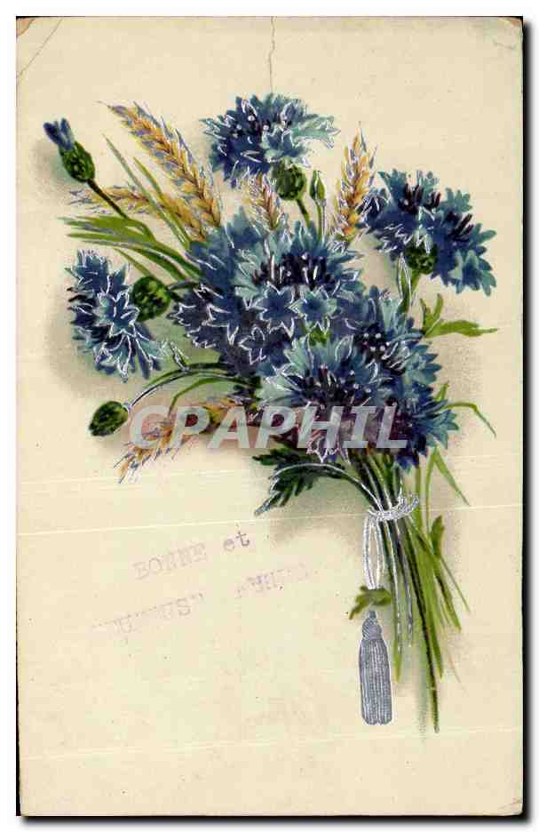 CPA Fantaisie Fleurs 