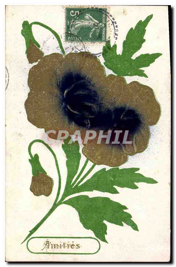 CPA Fantaisie Fleurs 