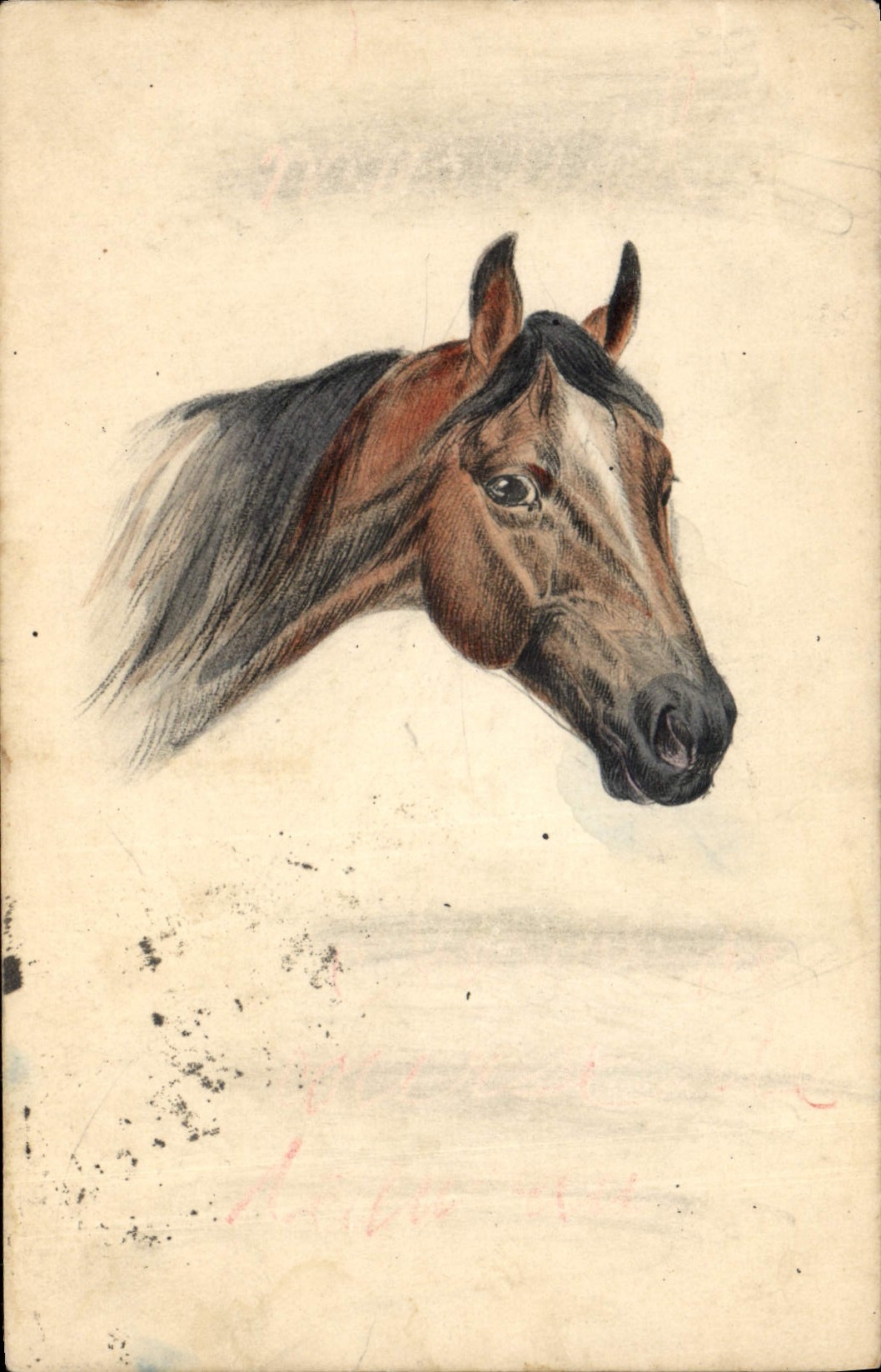 CPA Fantaisie Illustrateur Cheval 