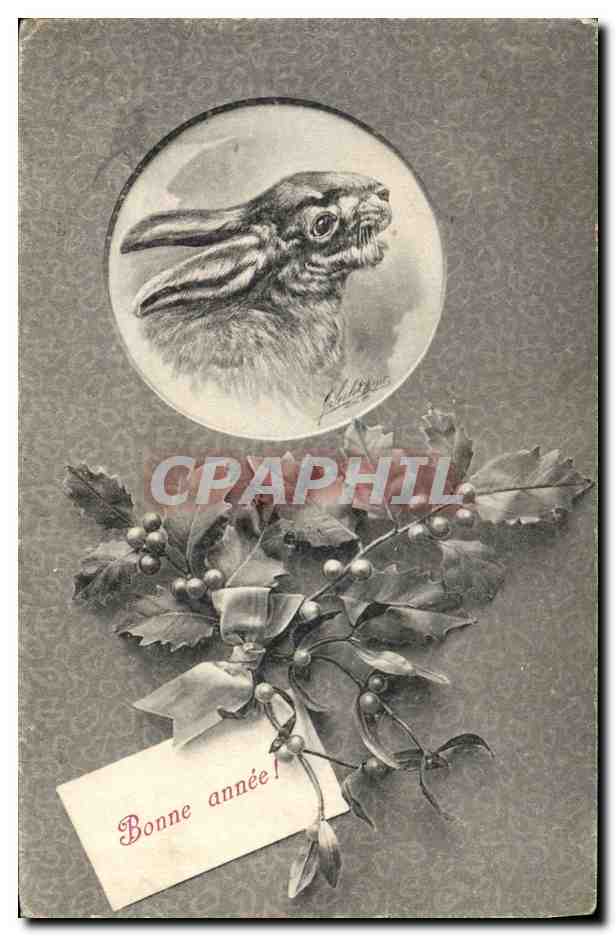 CPA Fantaisie Illustrateur Lapin 